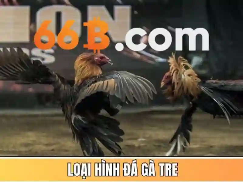 66B: Mô hình ngôn ngữ 66 tỷ tham số và hành trình của nó