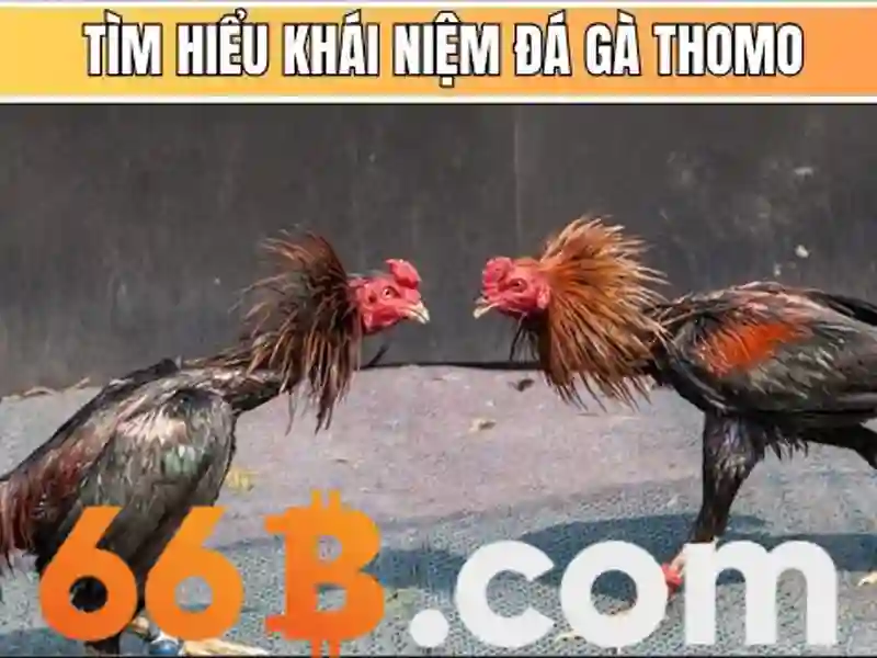Bao-mat-du-lieu-va-quyen-riêng-tu
