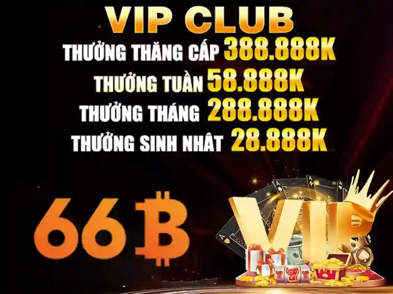 66B: Khái niệm, quy mô và ứng dụng