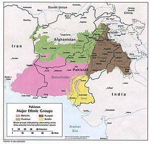 پرونده:Major ethnic groups of Pakistan in 1980.jpg